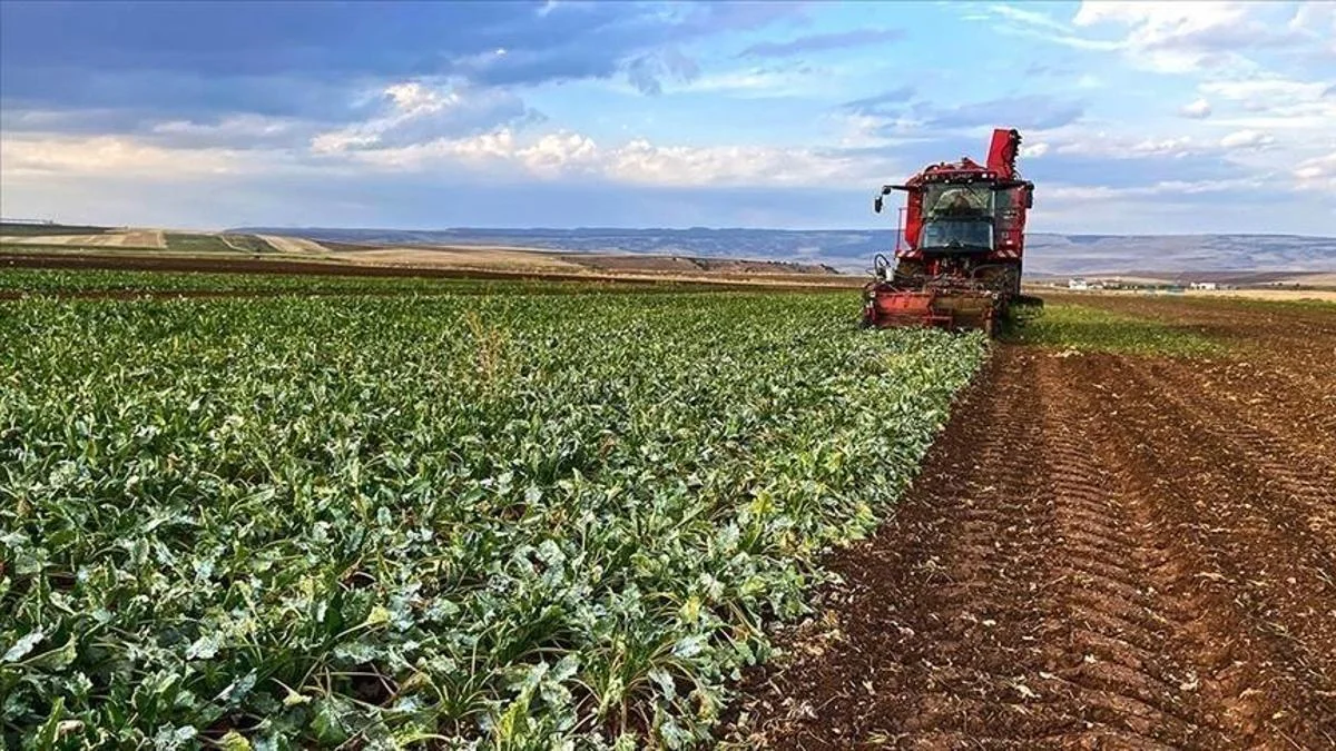 2026 &uuml;retim yılı &Ccedil;KS başvurularında son g&uuml;n 31 Aralık
