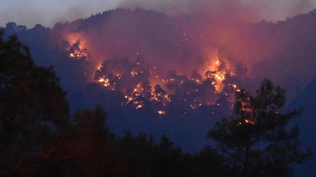 Antalya Kemer'de orman yangını